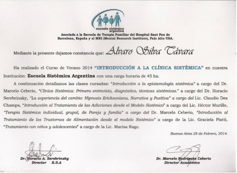 CLINICA SISTEMICA Curso inensivo de verano en Psicoterapia Sistemica